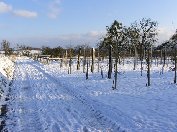 2006_Januar