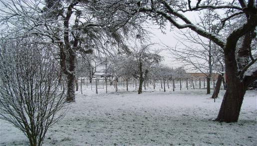 2007_Fr&uuml;hling