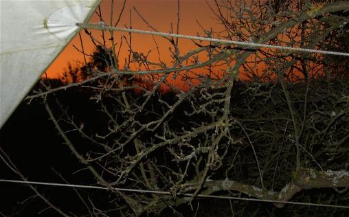 2009_Sonnenaufgang