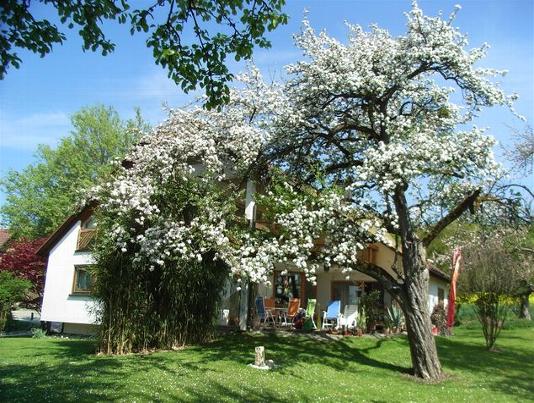 2011_fr&uuml;hling