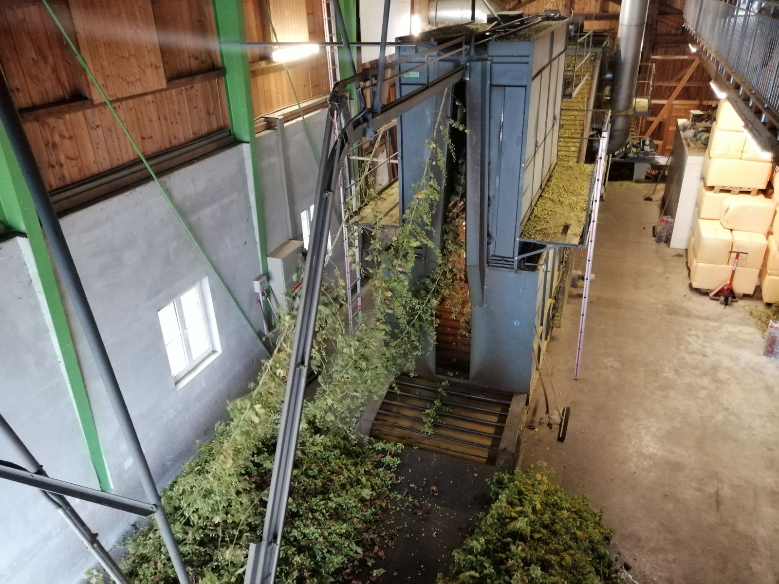 Ernte_2