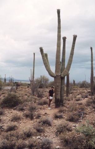 Arizona