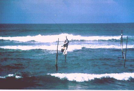 SriLanka