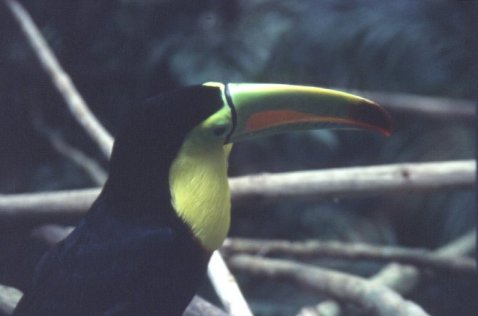 Honduras