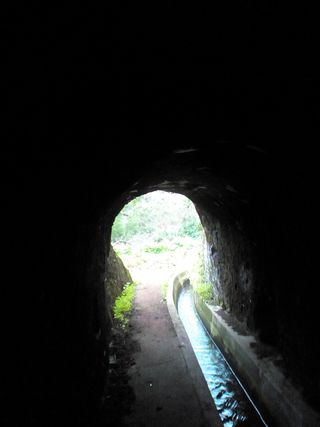Madeira