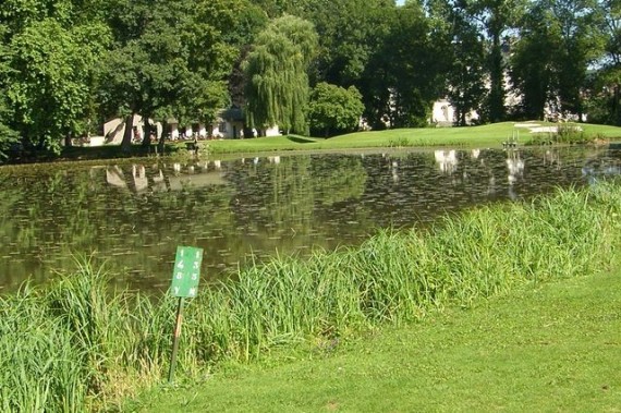 Teich
